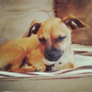 Meet your Posher, Ashtin